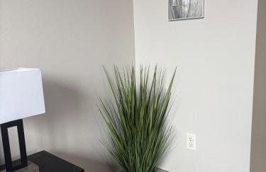 Relax in the Heart of Houston - Foto 20