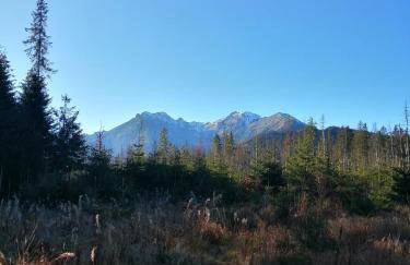 Miodowa Chatka - Foto 19