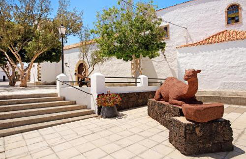 Casa Valentina - Photo 13