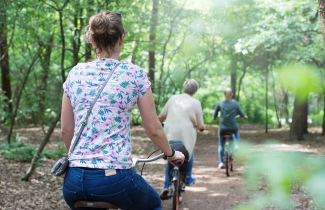 Holiday Home Near Biesbosch & Breda - Photo 29