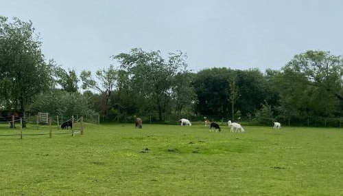 Pen llyn holiday cottages and caravan - Foto 3
