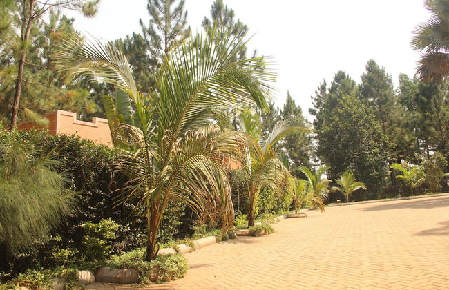 Saltek Forest cottages - Photo 22