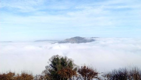 Casa d'Alvite - Arouca - Photo 4