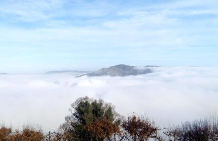 Casa d'Alvite - Arouca - Photo 4