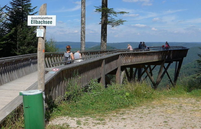 Oberrain in het "vakantiehuis Schenk" - Foto 21