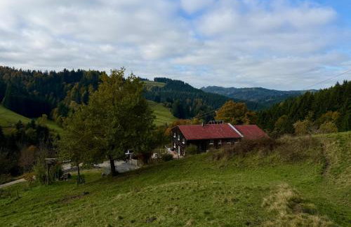 Alpe Sonnenruh - Foto 31
