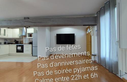 Appartement cosy Paris CDG - Foto 2