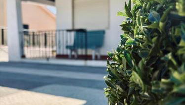 Casa da Pontelha VILLA INN - Foto 2, Garden, Garden view