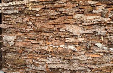 Stonehouse dome Lagadia - Photo 38