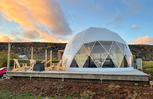 Port Wade Glamping Domes - Foto 19