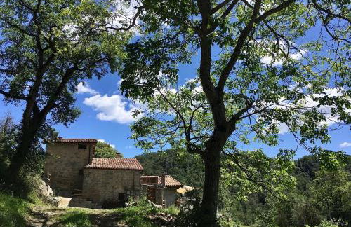 Can Poca Roba - Foto 7