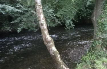 Eryri Lodge - Foto 15