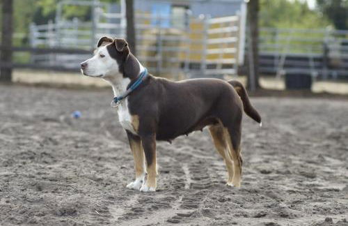 W Diamonds Ranch - Photo 15