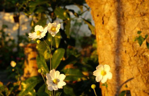 Torre Bella Gardens - Foto 54