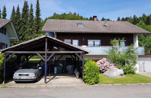 Jules Traum im Schwarzwald - Foto 5