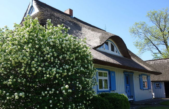 Captain House South Cats 8 - Photo 13