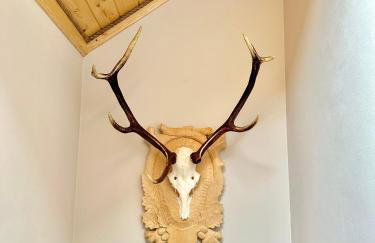 Domek SAMI SWOI - Foto 28