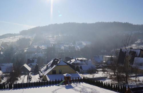 Apartamenty Black Lion - Foto 51