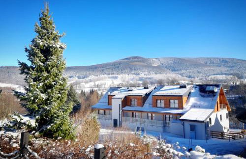 Hotel i Apartamenty pod Śnieżnikiem - Foto 7