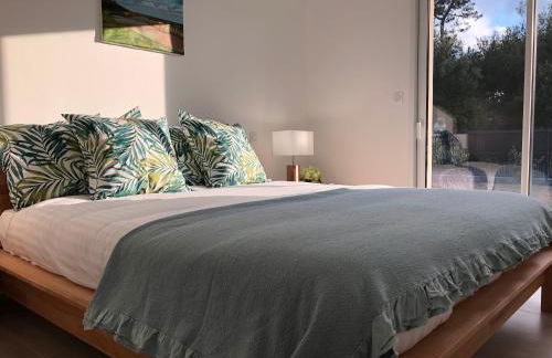 Location villa entre lac et océan avec son spa de nage - Foto 41