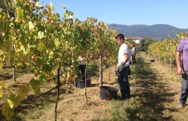 Casa de Ladreda - Foto 36