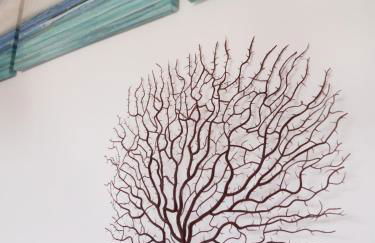 villa coral mondello - Photo 16