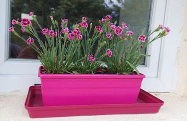 Gîte Kerlosvézan - Cocon de charme rénové & 5mn Mer et GR34 - Foto 39