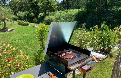 Maison VIEUX BOUCAU - MESSANGES - Photo 13