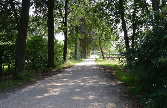 Cozy Holiday Home in Zelhem near Forest - Photo 8