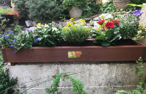 Bumble Bee Cottage - Photo 33