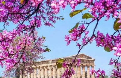 La casa di Gerry - Foto 7