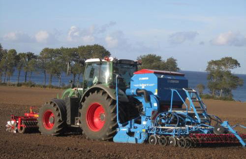Ferienbauernhof Liesenberg Meerblickhaus Strandmuschel - Foto 39
