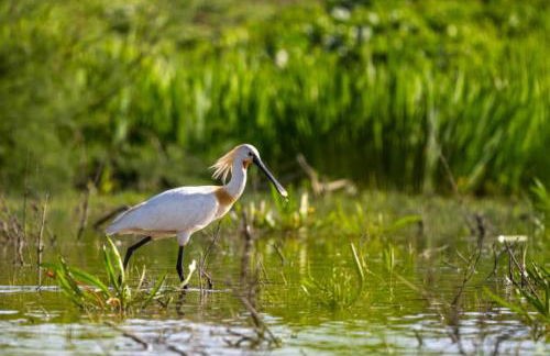 Villa Luz Deluxe - Foto 22