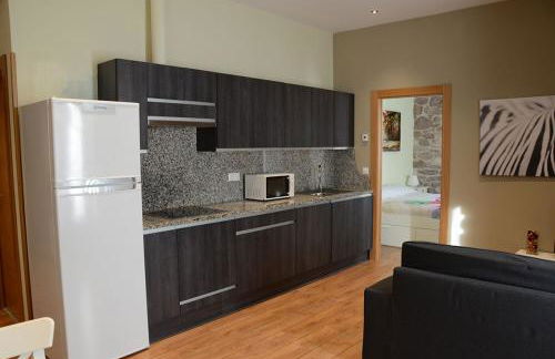 Apartamentos Elizondo - Foto 19