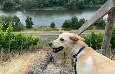 Wunderschönes Studio für bis zu 2 Personen - Foto 31