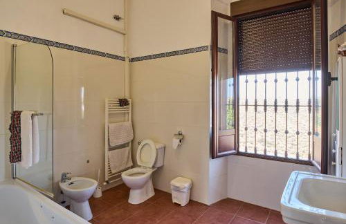 Molino Los Cardenes 1911 - Foto 23