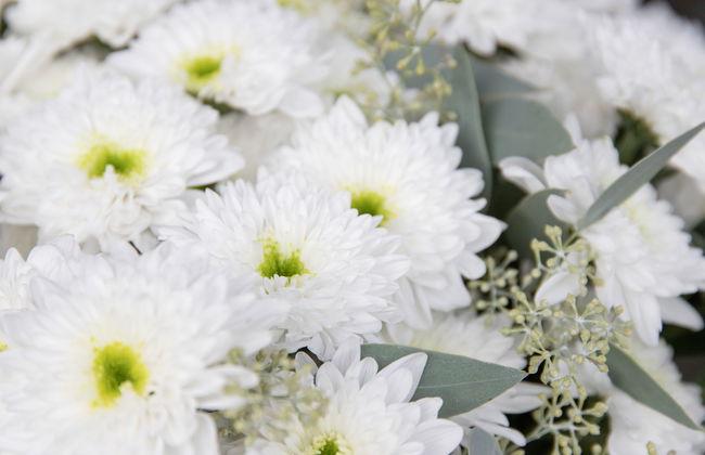 Chesa Piz Padella - St. Moritz - Foto 25