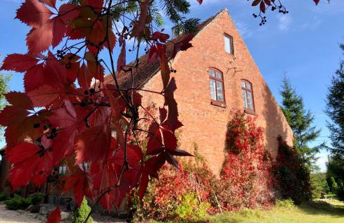 Dworek Mazurski Ruś Gospodarstwo Agroturystyczne - Foto 6