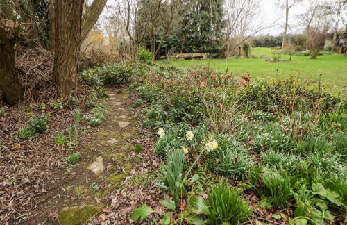 Pringles Orchard - Photo 44