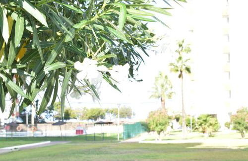 Apartamento Puertomar - Foto 18