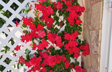 Villa Mariamar - Foto 28