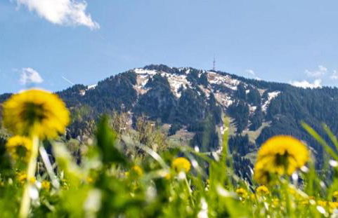 Ferienwohnung Gipfelglück 931 mit Hallenbad und Sauna - Foto 17