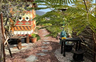 Afrikan Krisant Tenerife, Casa Rural Ecologica - Foto 7