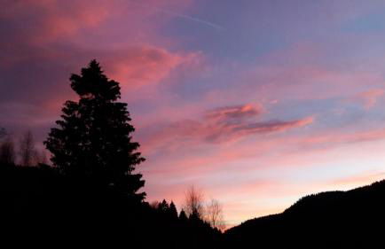 Haus Schäfer - Foto 25