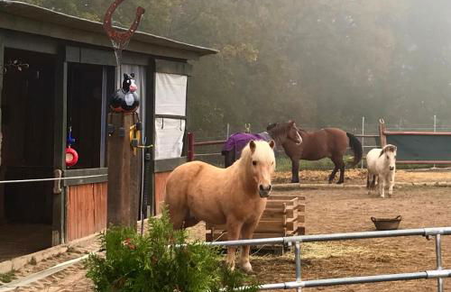 Ferienwohnung Scherr - Foto 19