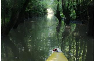 Gîte Tournesol -Gîtes Au Bas Marais - Foto 28