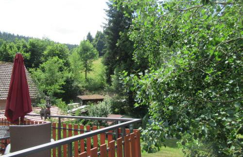 Ferienwohnung-Schoenmuenzblick-Urlaub-im-Nationalpark-Schwarzwald-Schwarzwald-Plus-inklusive - Photo 12