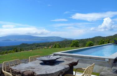 Pico Terrace - Photo 7