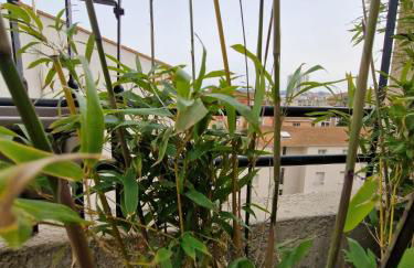 Stylish Marseille Prado Loft Walk to velodrome and metro - Foto 24