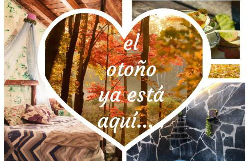 El Eden de Javier - Foto 10